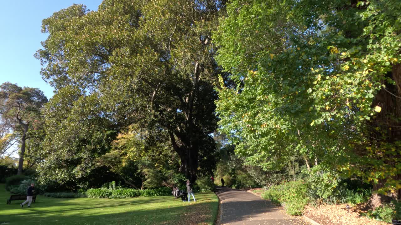 People walking in lush green park