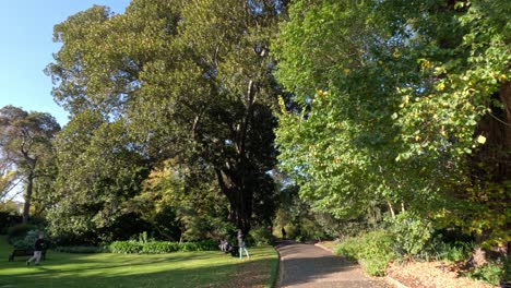 people walking in lush green park