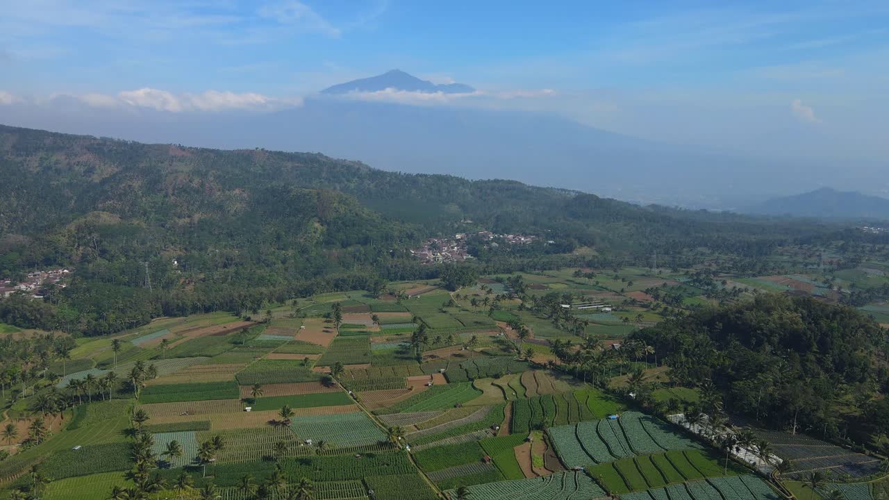 4K aerial footage of vibrant terraced rice fields and lush plantations with a breathtaking mountain view. Ideal for nature, agriculture, and travel content