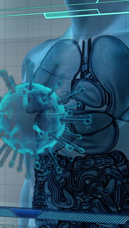 animación de células de virus sobre el modelo del cuerpo humano