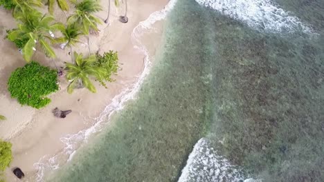 Aerial-shot-of-Mt.-Irvin-Beach,-Tobago-coastline