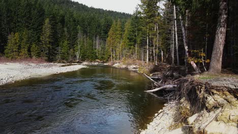 aerial drone shot of soo river in british columbia, canada