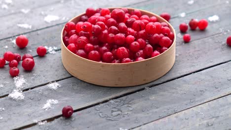 verse cranberries in een schaal op de tafel en sneeuw