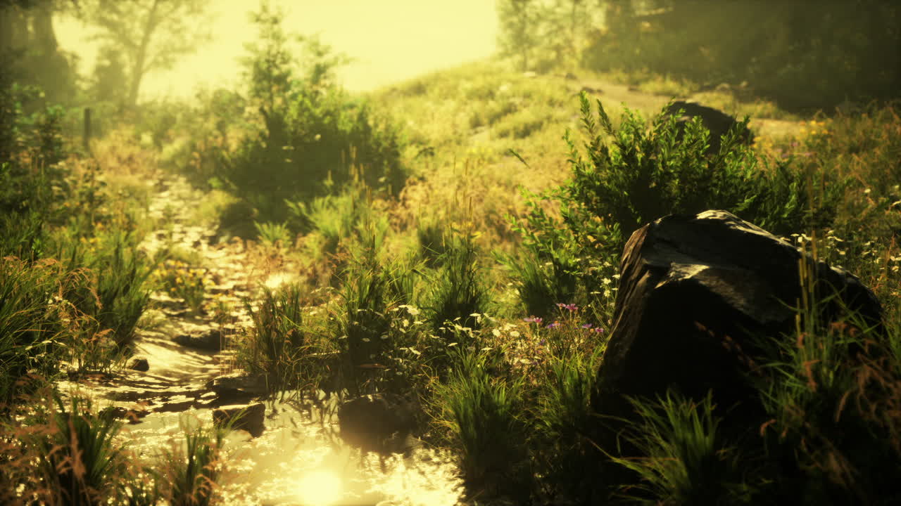 Sunlit stream winding through lush greenery on a tranquil morning