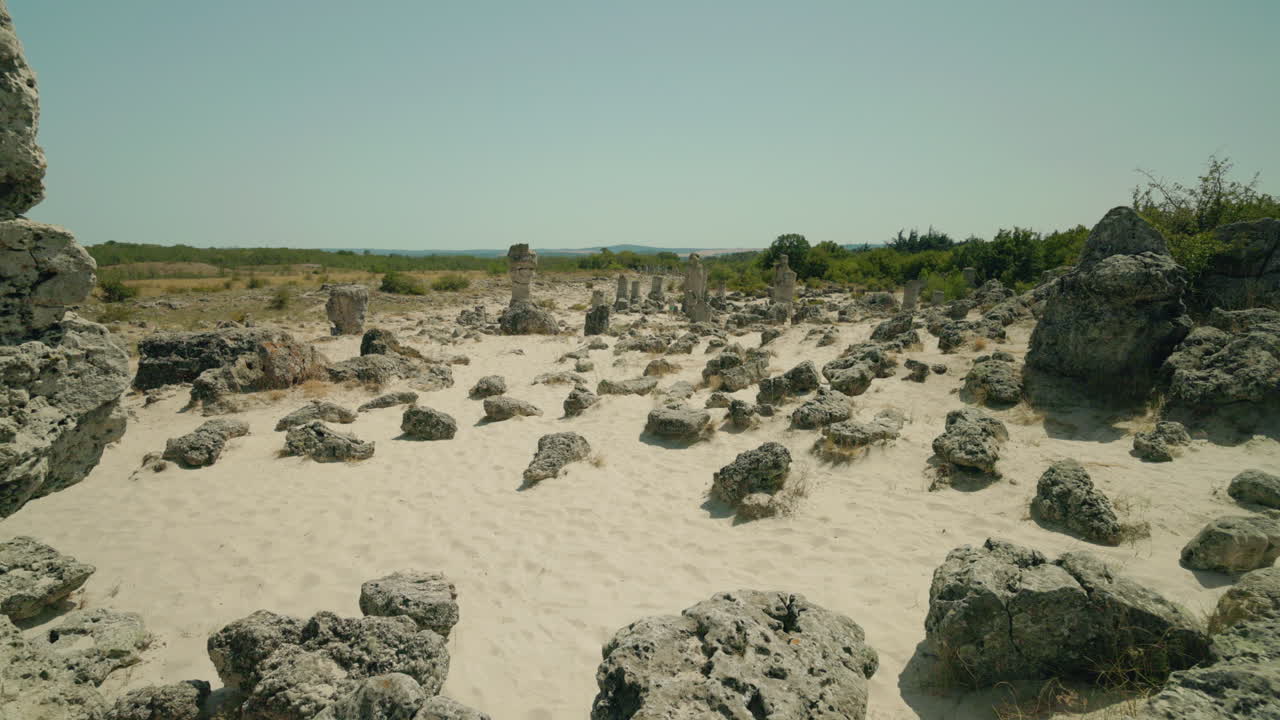 Stone Forest: The Pobiti Kamani Rock Formations in Bulgaria