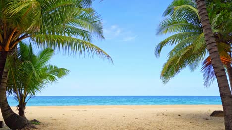 increíble palmeras de coco marco en clara playa de arena blanca salvaje en el paraíso de la isla de phuket karon playa tailandesa, hermoso video para el fondo de verano y sitio web de viajes