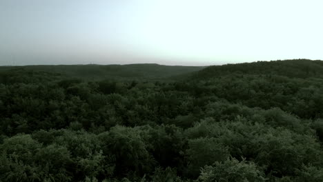 imágenes aéreas sobre el bosque durante la puesta de sol, el clima es brumoso, colores atenuados, hermoso cielo en el horizonte y copas de árboles verdes debajo, paisaje natural en la ciudad
