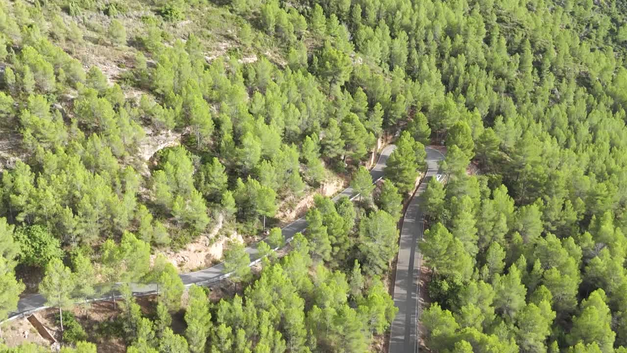 Breathtaking aerial perspective of a sleek vehicle speeding along a twisty road amidst a dense pine forest. The car smoothly maneuvers the winding blacktop path