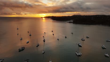 golden sunrise at bay with parking boats, yachts and catamaran in new zealand. aerial orbit shot. waiheke island, oneroa area on island. luxury boats moored in the morning. wide shot