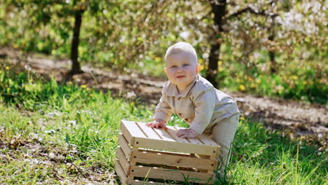 adorable blond baby boy wearing beige romper stands leaning on the wooden crate. lovely smiling child looks around the beautiful spring garden.