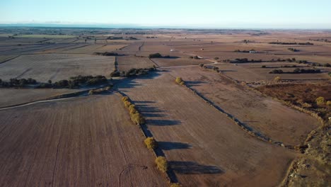 Vast-farmlands-in-lleida,-catalonia-during-the-golden-hour,-showcasing-the-expansive,-patchwork-landscape,-aerial-view