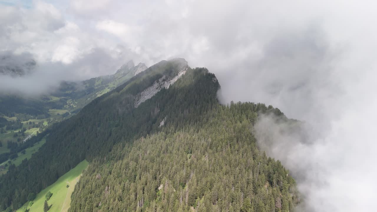 fridlispitz montaña cubierta de bosque nubes de niebla, alta altitud suiza naturaleza