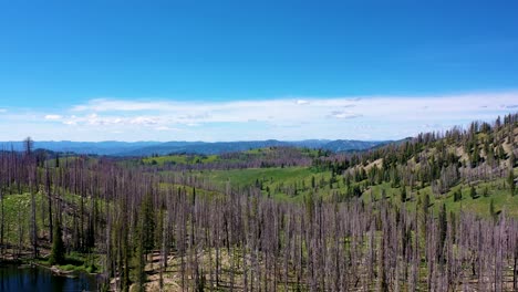 Drone-pulls-up-from-a-backcountry-lake-revealing-a-stunning-view-of-the-forest-blanketed-woods-horizon