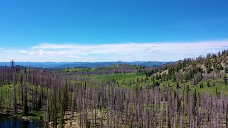 drone se levanta de un lago de backcountry revelando una impresionante vista del bosque cubierto de bosques horizonte