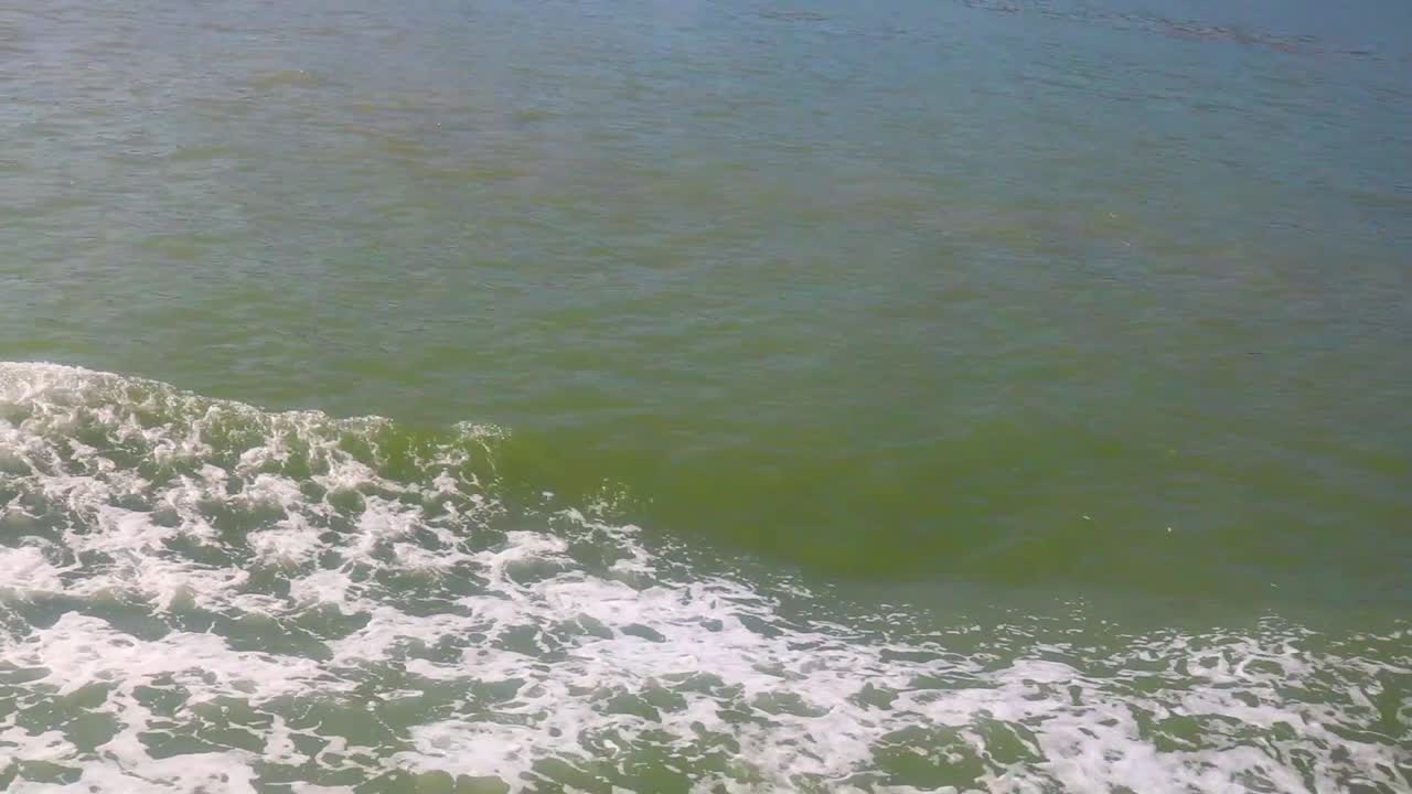 열대 강물에서 항해, pov 샷