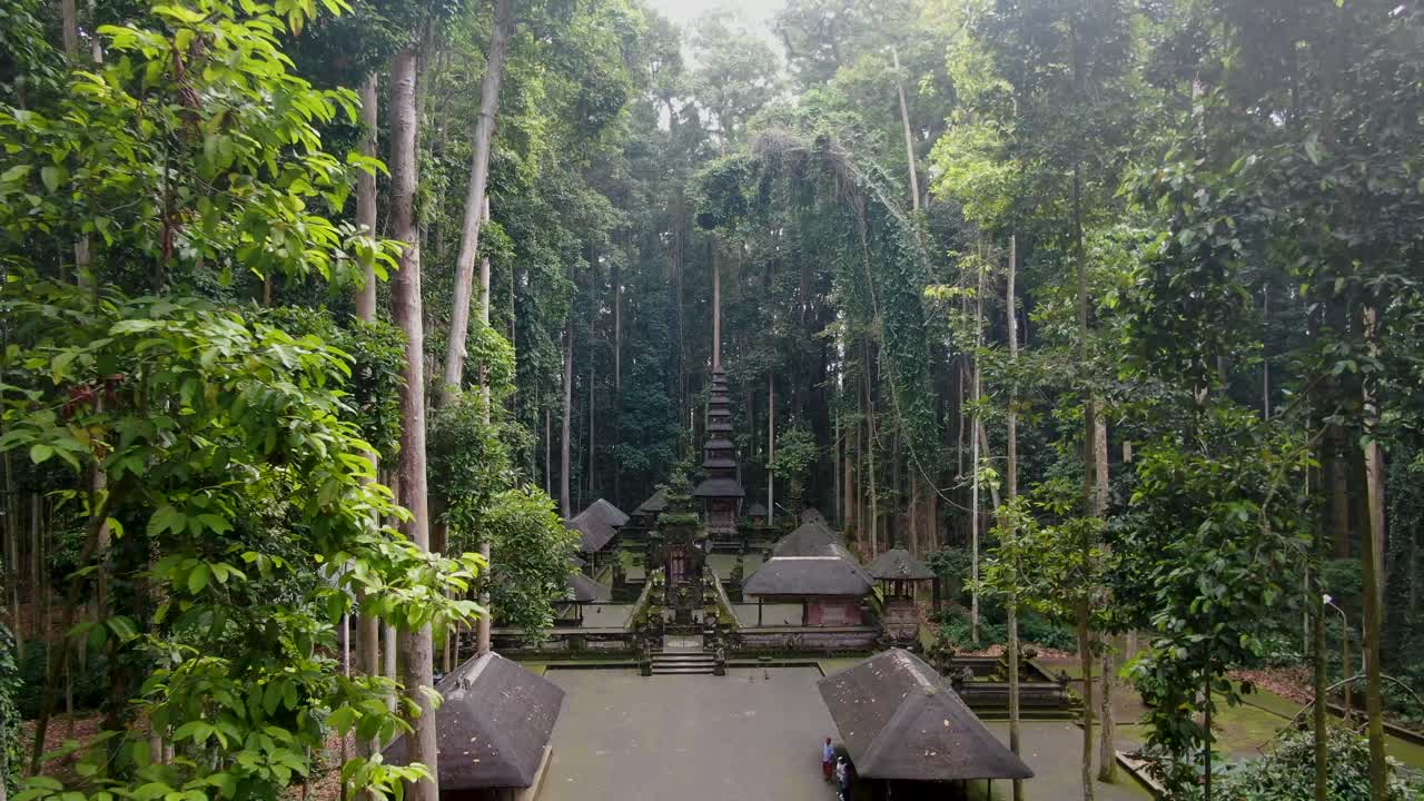 日差しの中、ジャングルの中にあるサンゲ寺院への空撮によるシネマティックな前方飛行