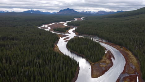 serpentine river winding through a coniferous forest
