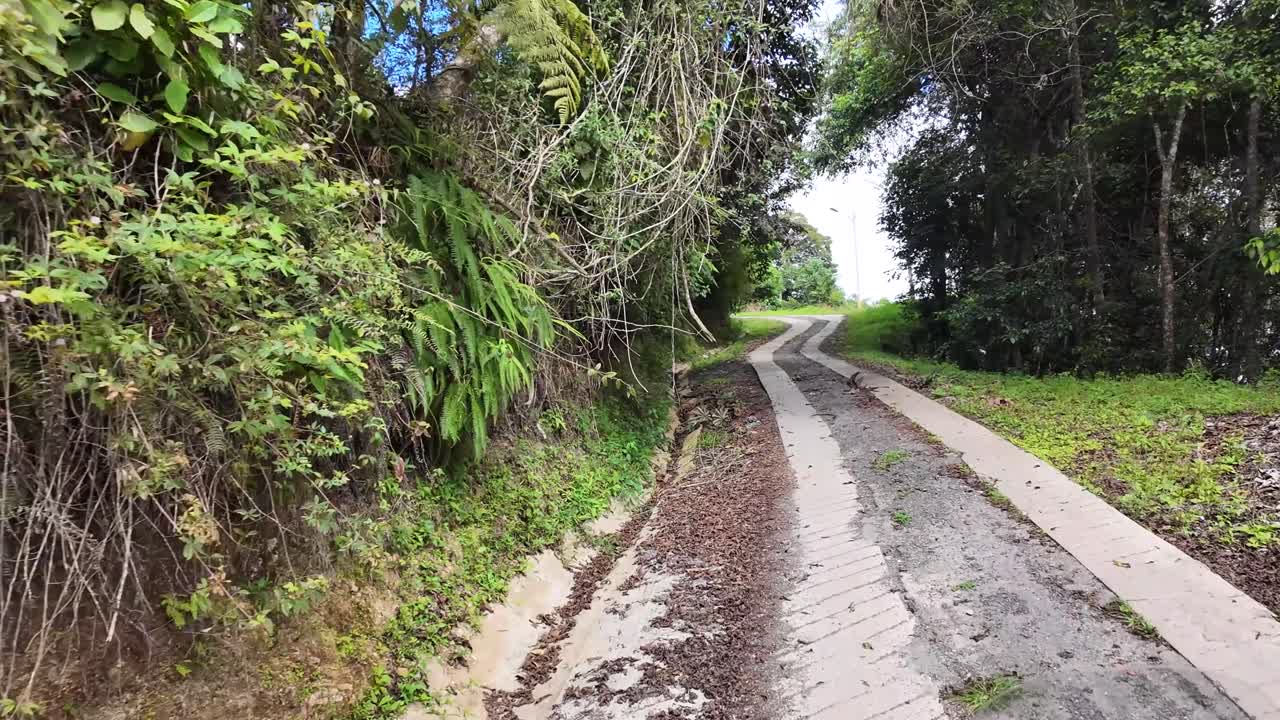 Slim concrete pathway curves through lush tropical vegetation, surrounded by dense trees and greenery in a quiet natural environment