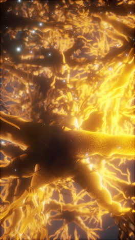 microscopic view of a neuron