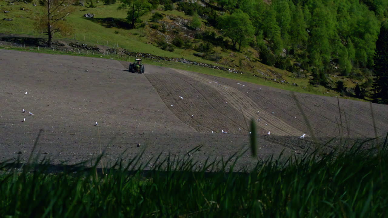 Farmer Drives Tractor Ploughing in a Field in Latvia's Countryside on a Sunny Day