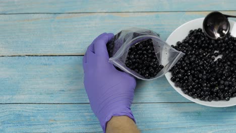 packing blueberries in zipper plastic bags for freezing. frozen, preservation fruits, berries food