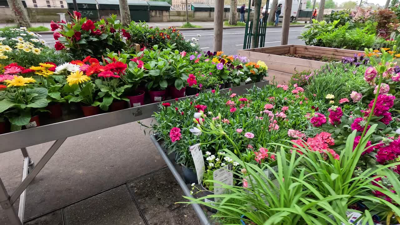 Flores coloridas expostas em uma loja parisiense