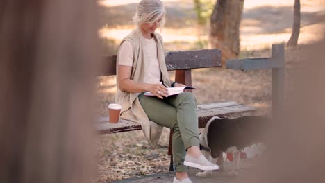 fashionable mature woman with dog reading book in park