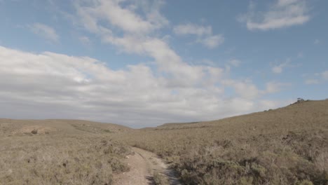 POV-driving-safari-on-rolling-dry-savanna-on-tiny-African-dirt-road