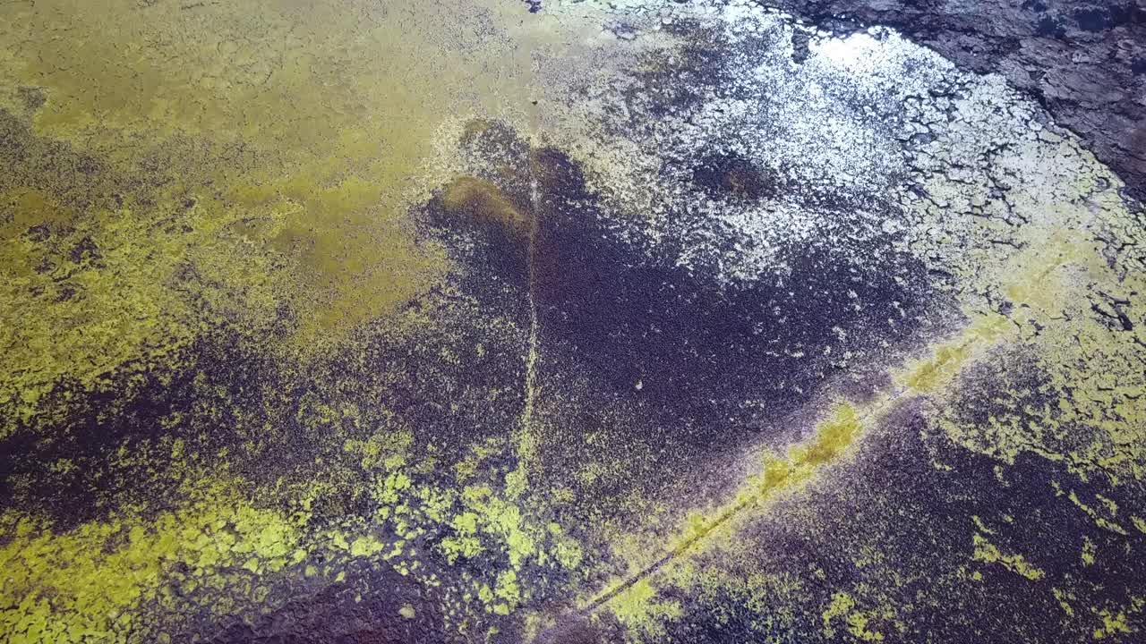 experiencia fuera del mundo de dallol