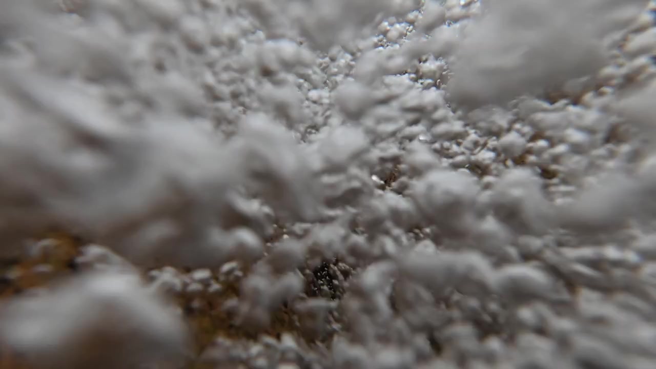 Primo piano subacqueo intimo cattura bolle vorticose e il movimento turbolento delle rapide in un fiume portoghese. La luce naturale evidenzia le texture fluide dinamiche e l'energia cinetica