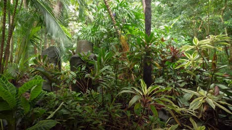 an unusual rock formation or statue in a rainforest or jungle