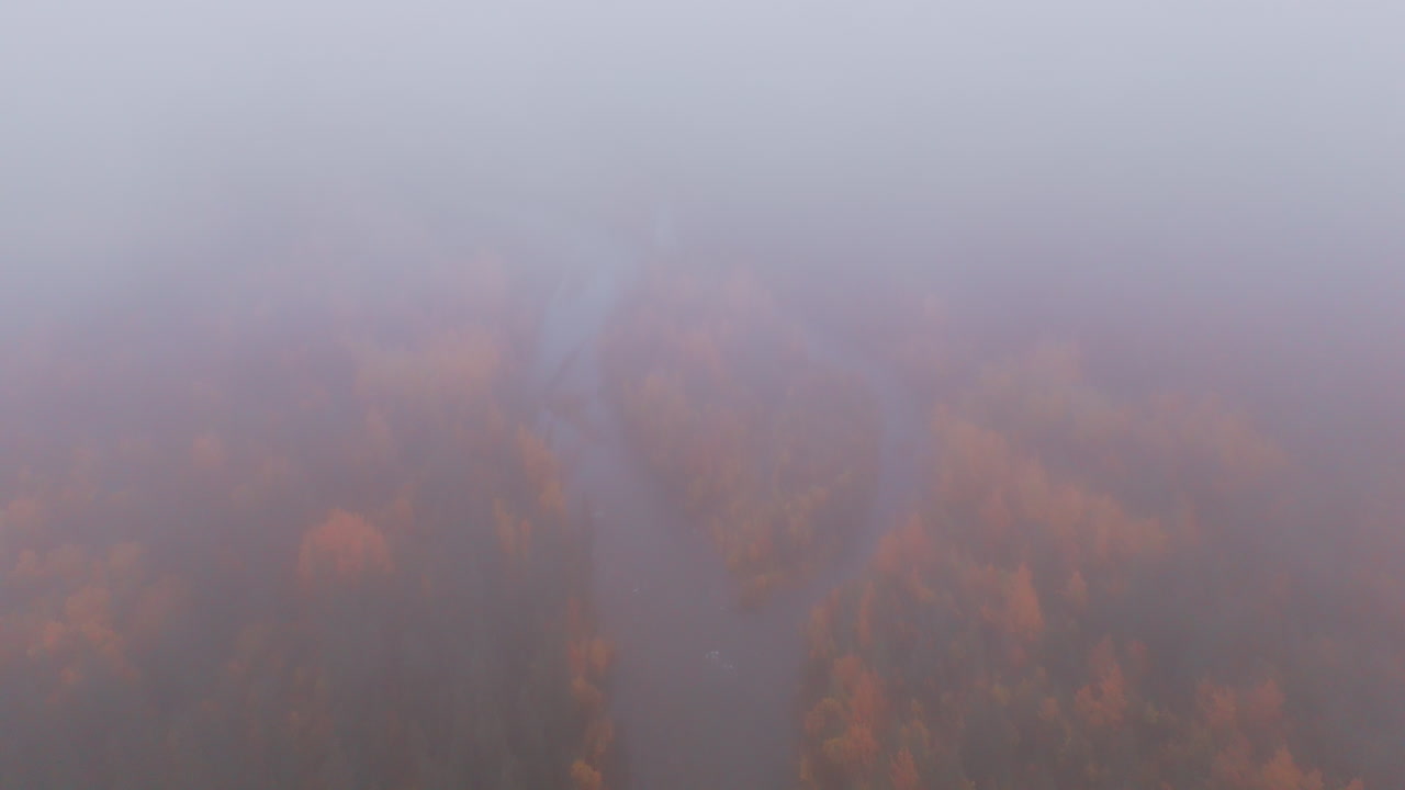Misty Autumn River in Forest - Aerial View