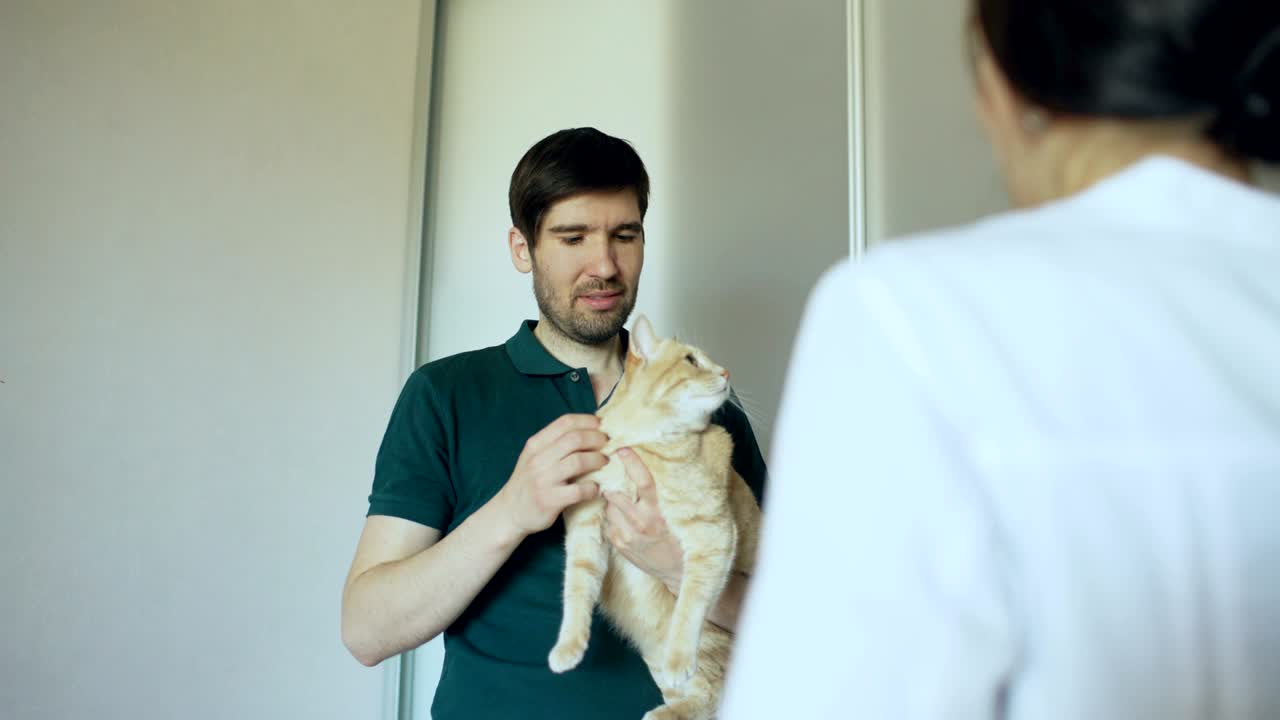el dueño del gato está hablando con la veterinaria en la oficina del veterinario.