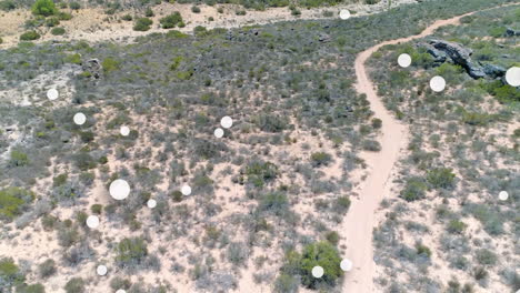 composición digital de múltiples manchas blancas flotando contra contra vista aérea de la ruta del bosque
