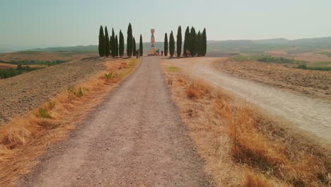 Gruppe-Italienischer-Zypressen-In-Der-Nähe-Von-San-Quirico-D´orcia---Wunderschöne-Landschaftskulisse---Val-D&#39;orcia,-Toskana,-Italien---Drohnenaufnahme