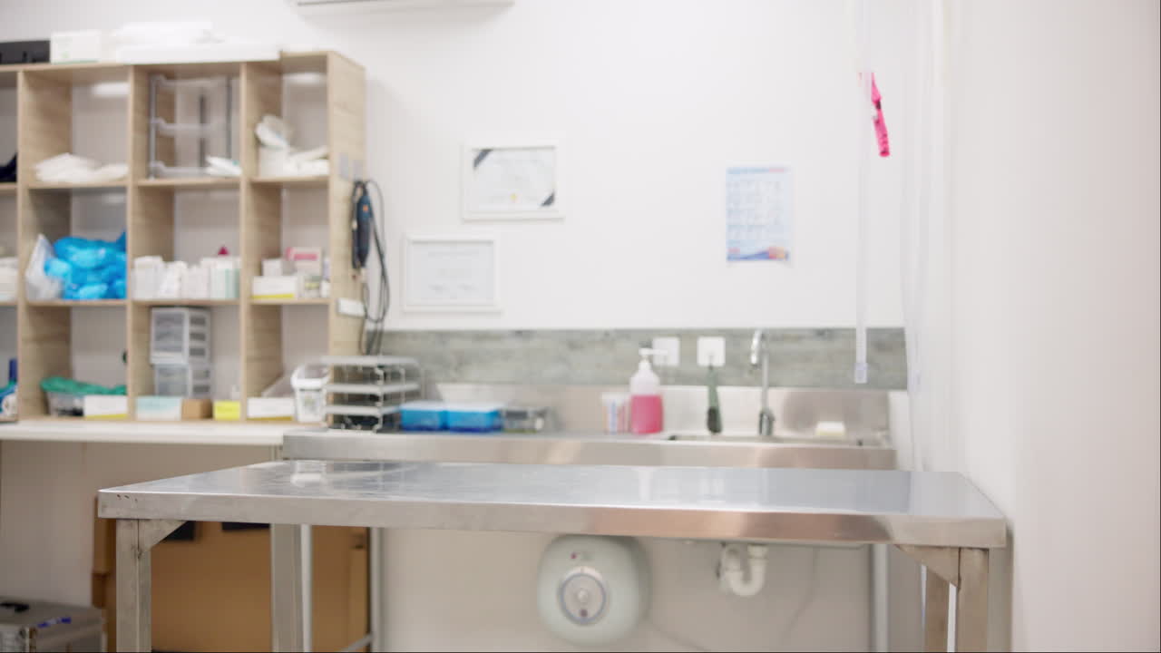 Vet, clinic and empty room for healthcare