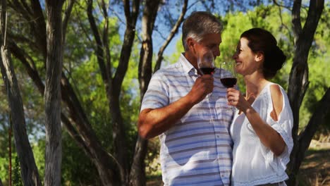 Smiling-couple-toasting-a-glass-of-red-wine-4k