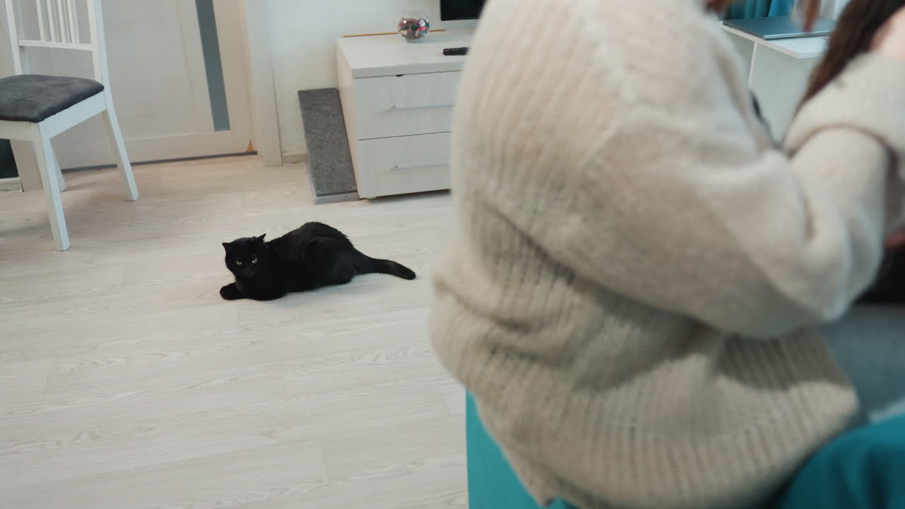 Black Cat Watching Woman Seated Near Chair, Distance Emphasizes Observation And Patience, Knitted Sweater And Turned Profile, Home Routine Captured In Soft Sunlight, Companion Waiting With Calm