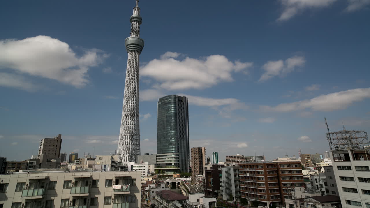 스카이 트리 흐림0