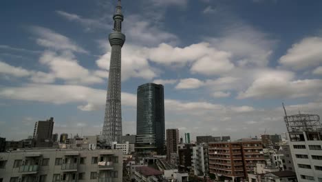 sky tree cloudy0