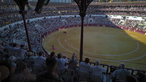 bullfight in malaga, spain, motionlapse