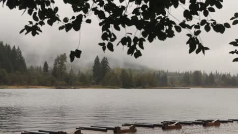 Hojas-Meciéndose-Con-El-Viento,-Con-Vistas-Al-Lago-Alta-En-Whistler-BC-En-Un-Día-Brumoso-Y-Brumoso