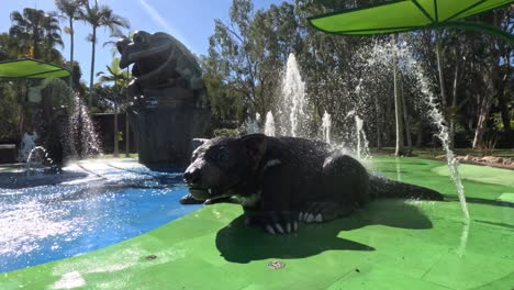 animal statues with active water fountains