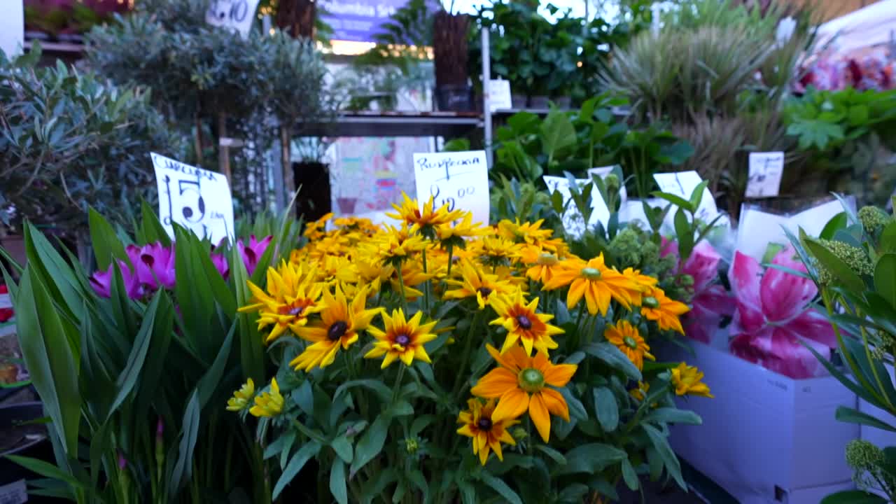 Bright yellow flowers and vibrant plants for sale at Columbia Road Flower Market in London, UK