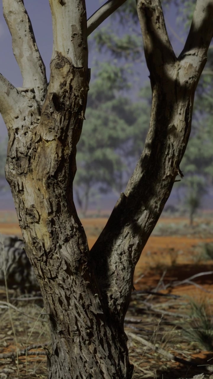 Escena de la naturaleza con un tronco de árbol y vegetación en un entorno al aire libre.