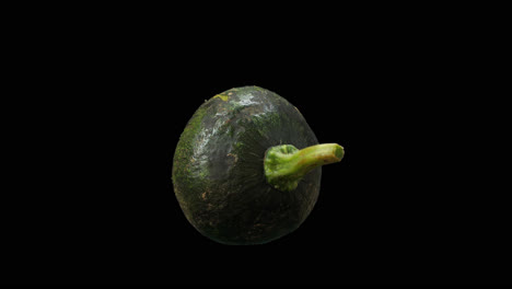 green pumpkin rotating with alpha channel, video in 4k