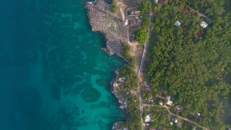 aerial view of coastal lush green