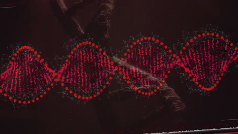 animación de la cadena de adn sobre el procesamiento de datos científicos