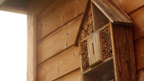 a wild bee flies to an insect hotel hanging on a garden shed