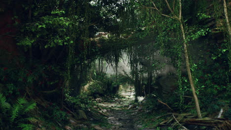 el camino místico de la jungla